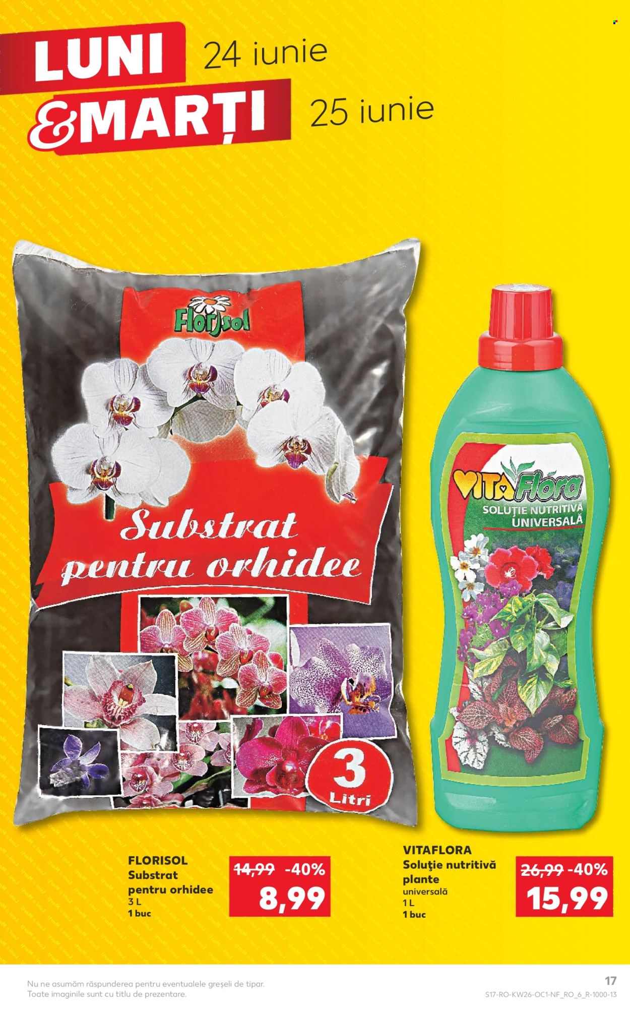 Catalog Kaufland - 24.06.2024 - 26.06.2024. Pagina 17