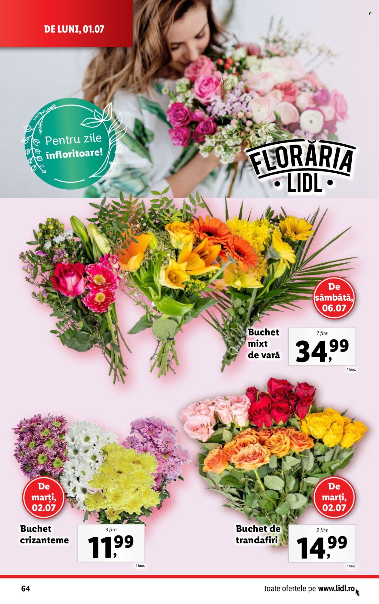 Catalog Lidl - 01.07.2024 - 07.07.2024. Pagina 64