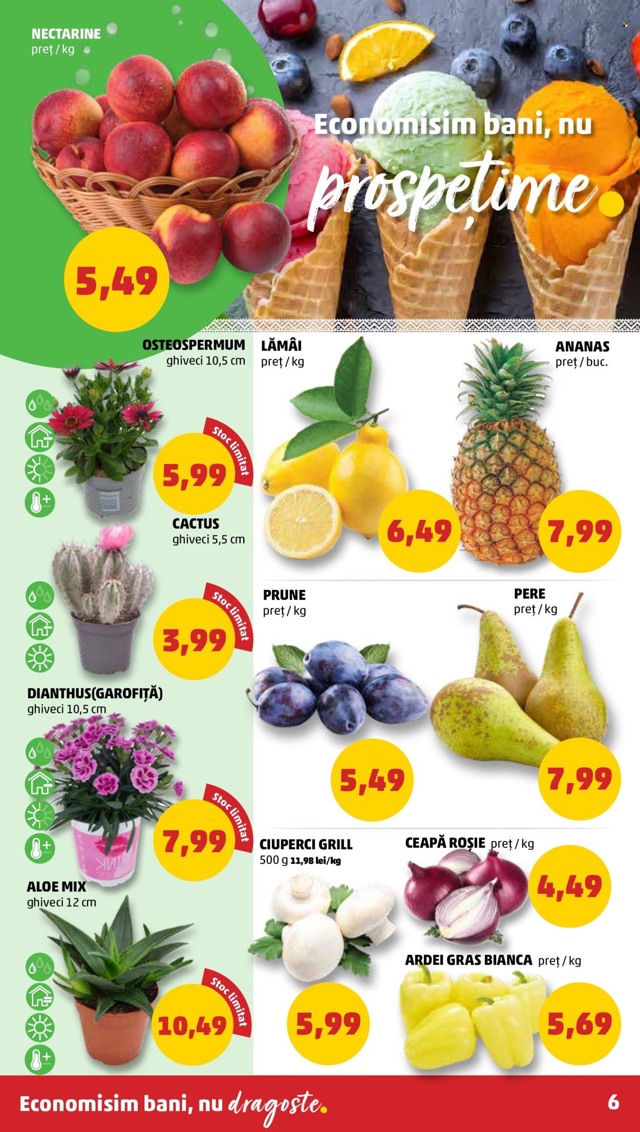 Catalog PENNY - 26.06.2024 - 02.07.2024. Pagina 6