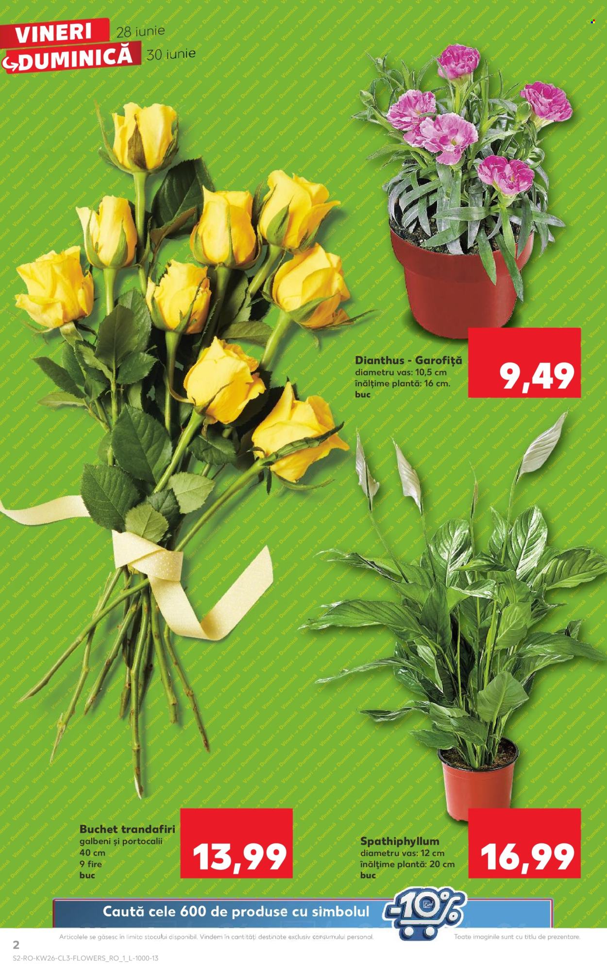Catalog Kaufland - 28.06.2024 - 30.06.2024. Pagina 2