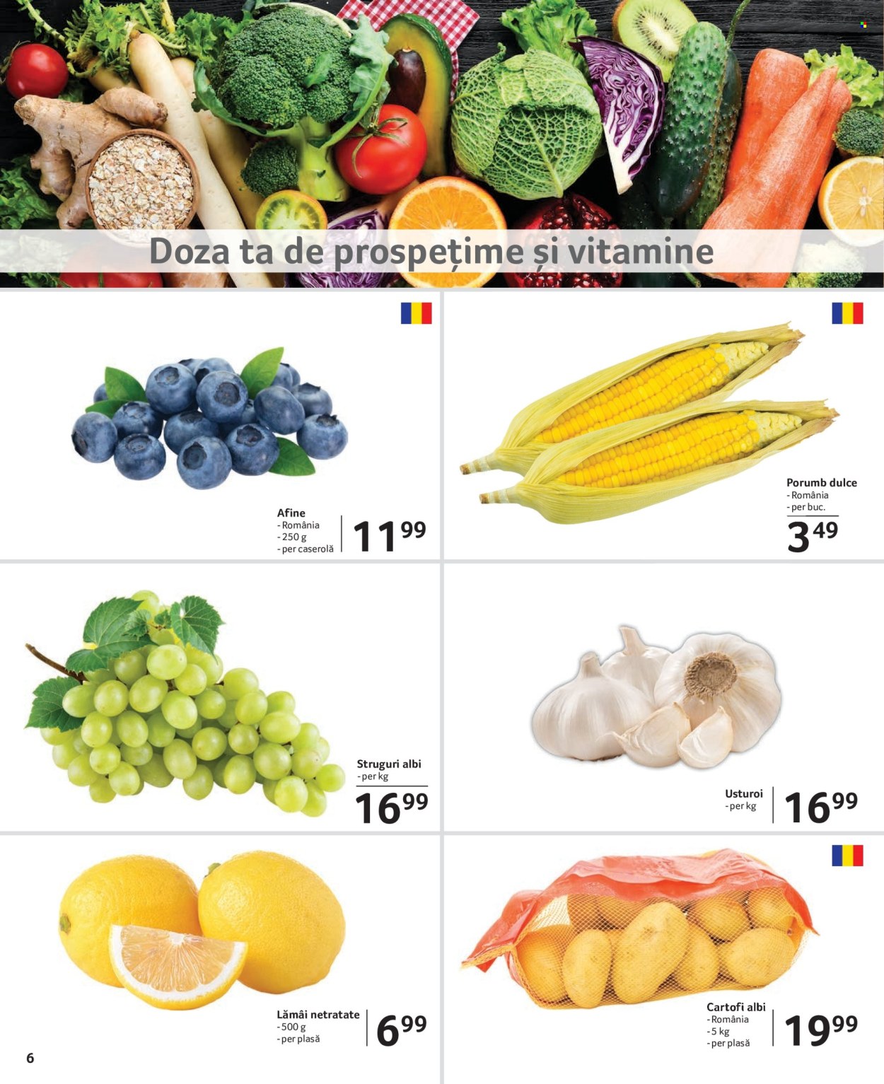 Catalog Selgros - 28.06.2024 - 11.07.2024. Pagina 6