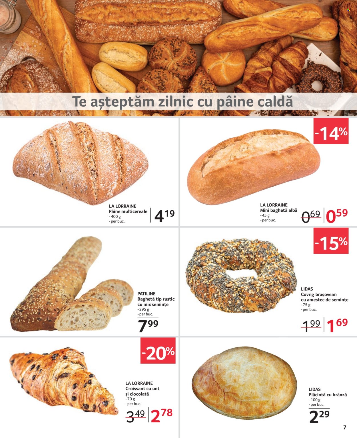 Catalog Selgros - 28.06.2024 - 11.07.2024. Pagina 7