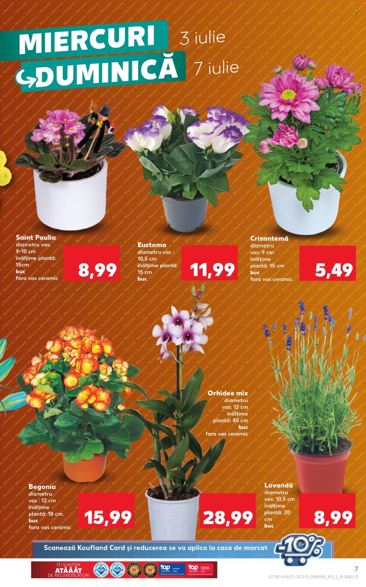 Catalog Kaufland - 03.07.2024 - 09.07.2024. Pagina 7