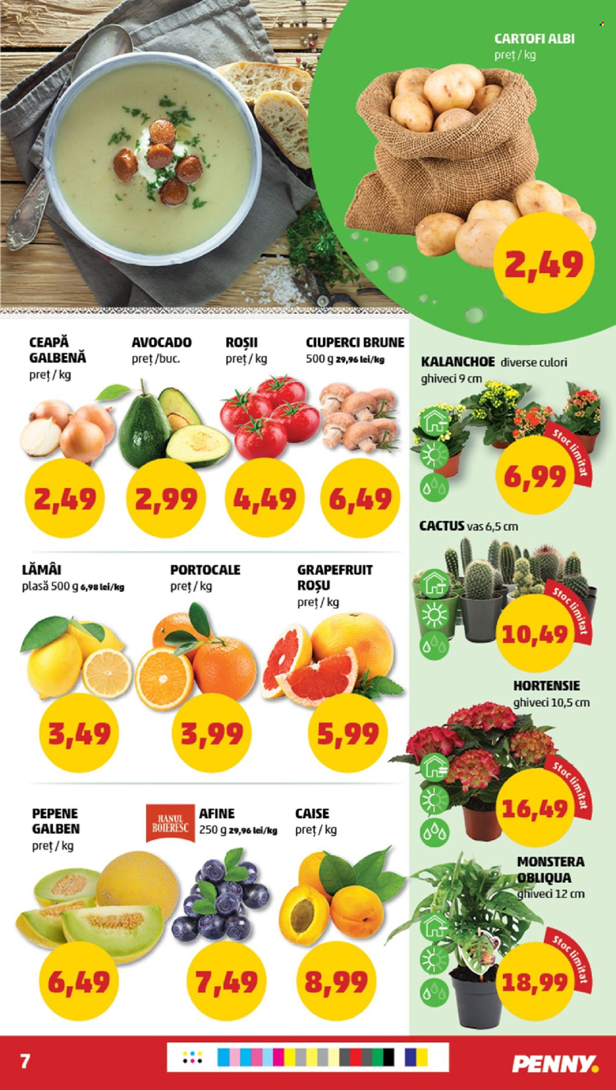 Catalog PENNY - 03.07.2024 - 09.07.2024. Pagina 7