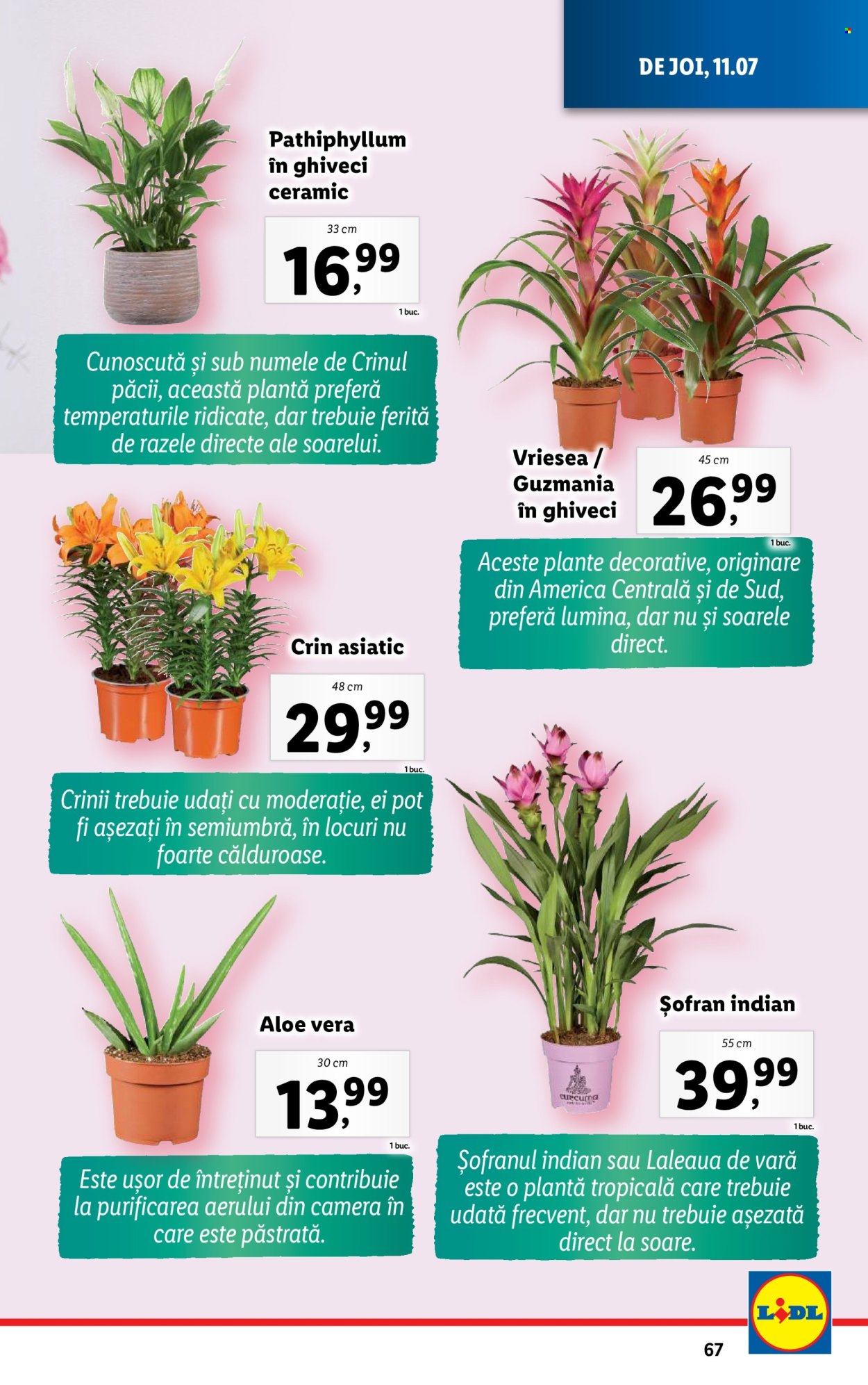 Catalog Lidl - 08.07.2024 - 14.07.2024. Pagina 67