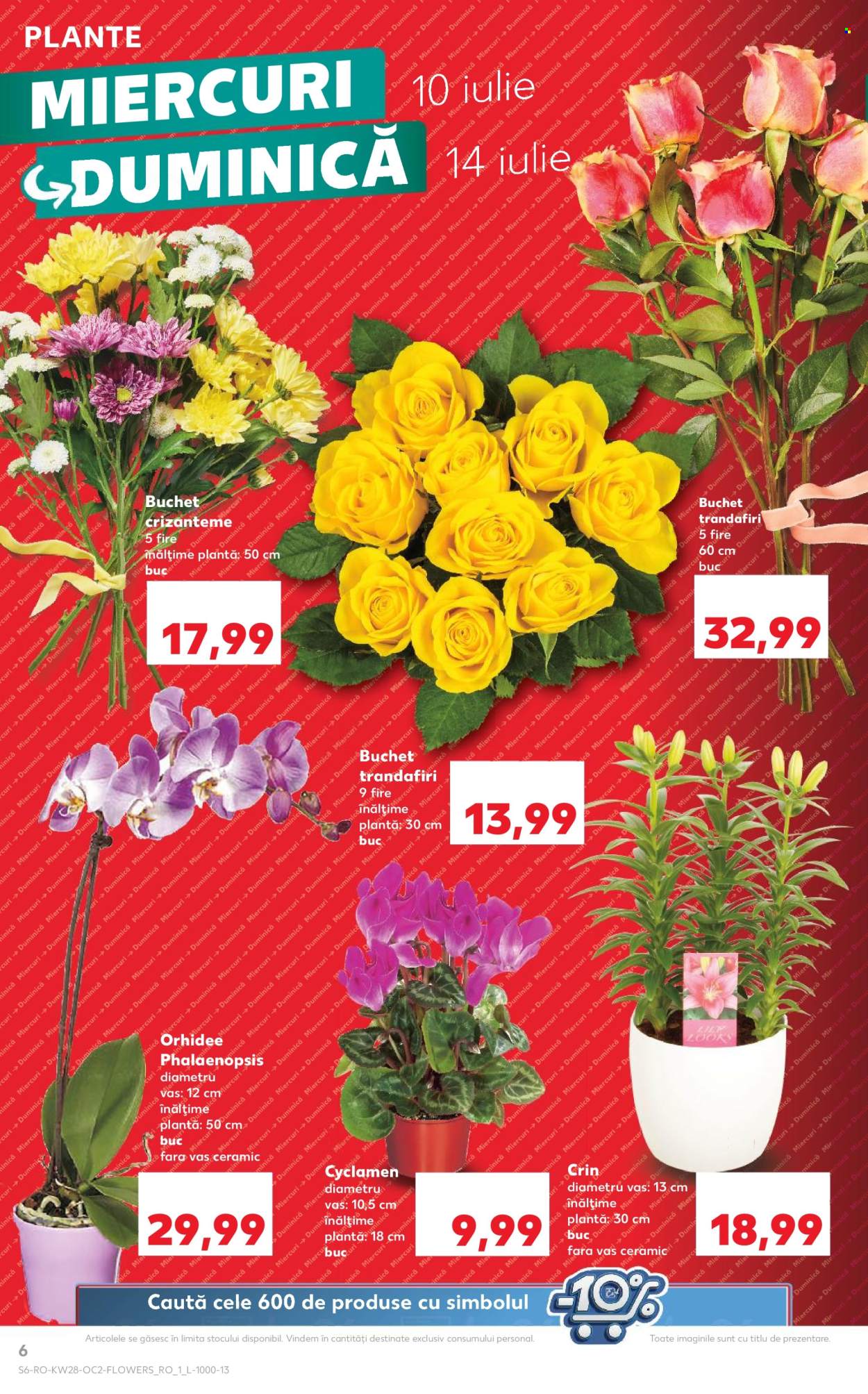 Catalog Kaufland - 10.07.2024 - 16.07.2024. Pagina 6