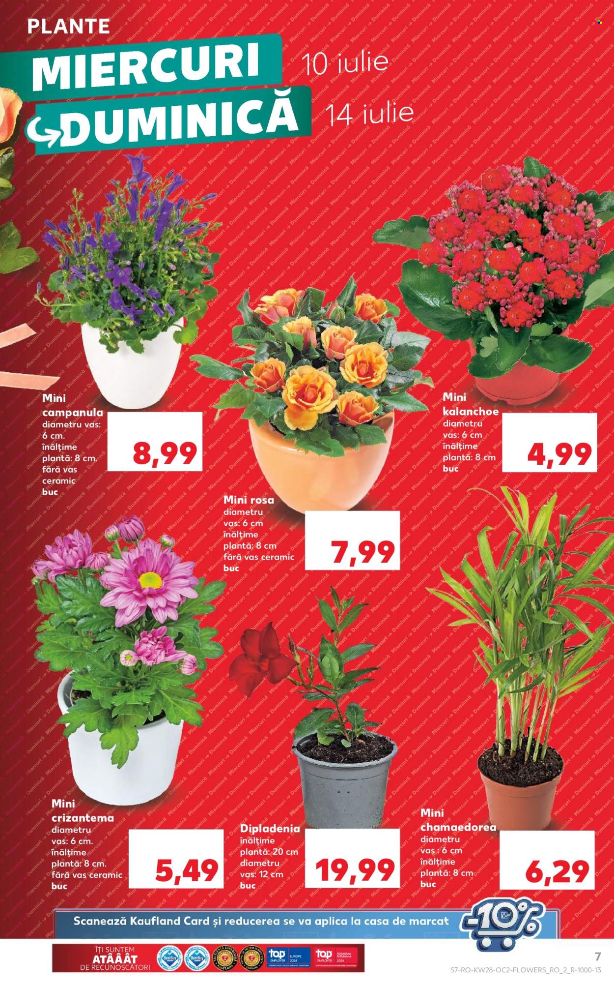 Catalog Kaufland - 10.07.2024 - 16.07.2024. Pagina 7