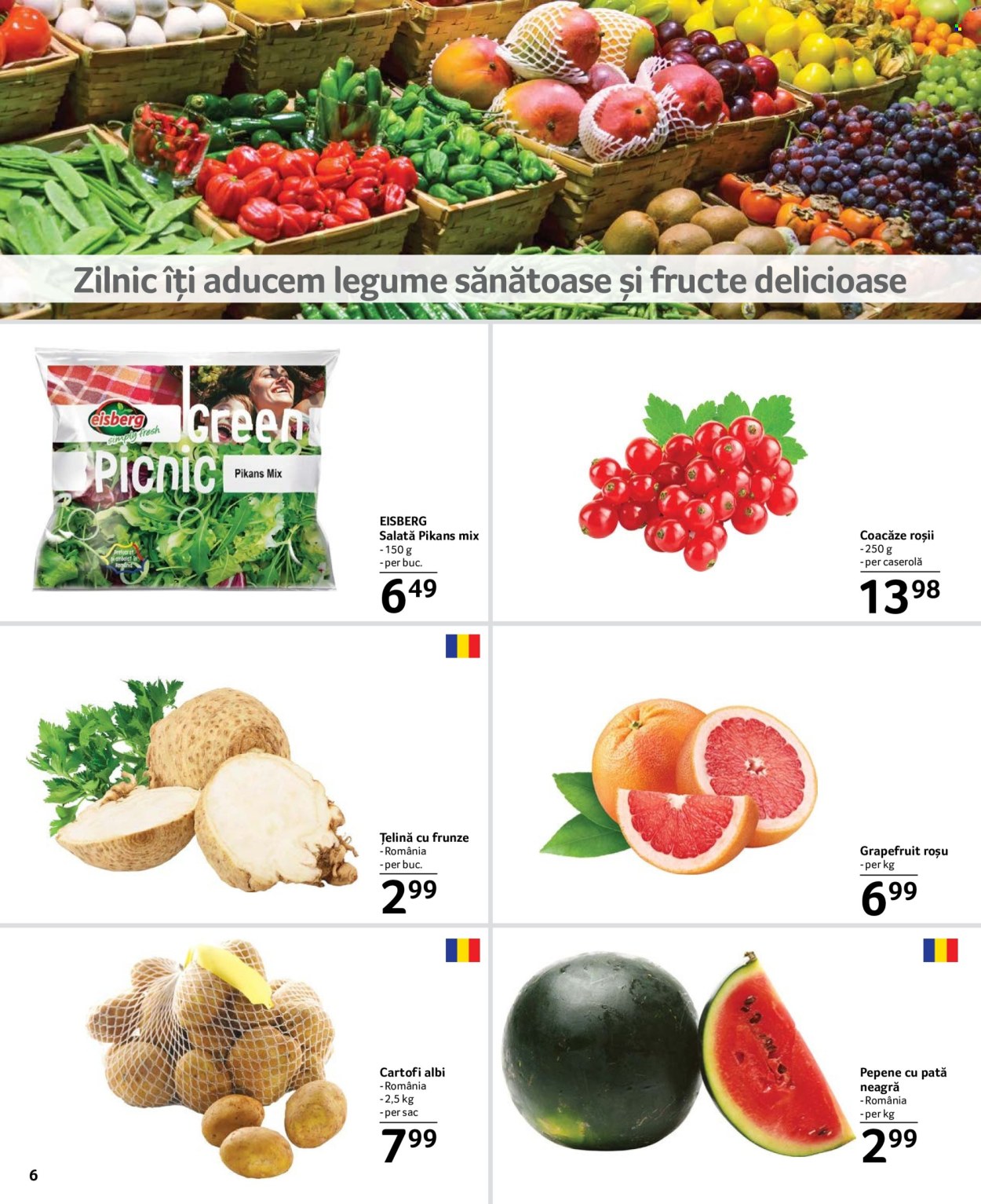 Catalog Selgros - 12.07.2024 - 25.07.2024. Pagina 6