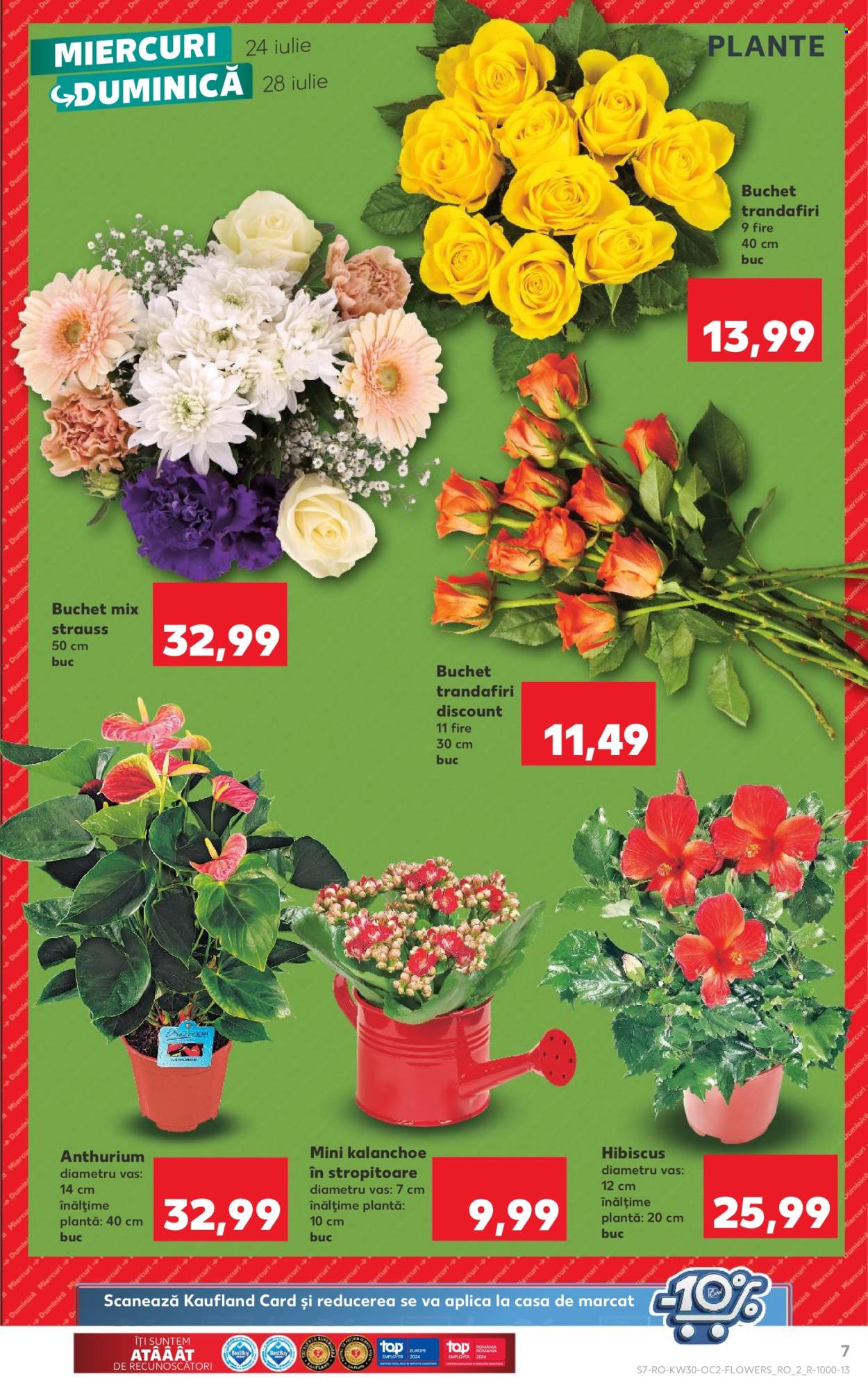 Catalog Kaufland - 24.07.2024 - 30.07.2024. Pagina 7