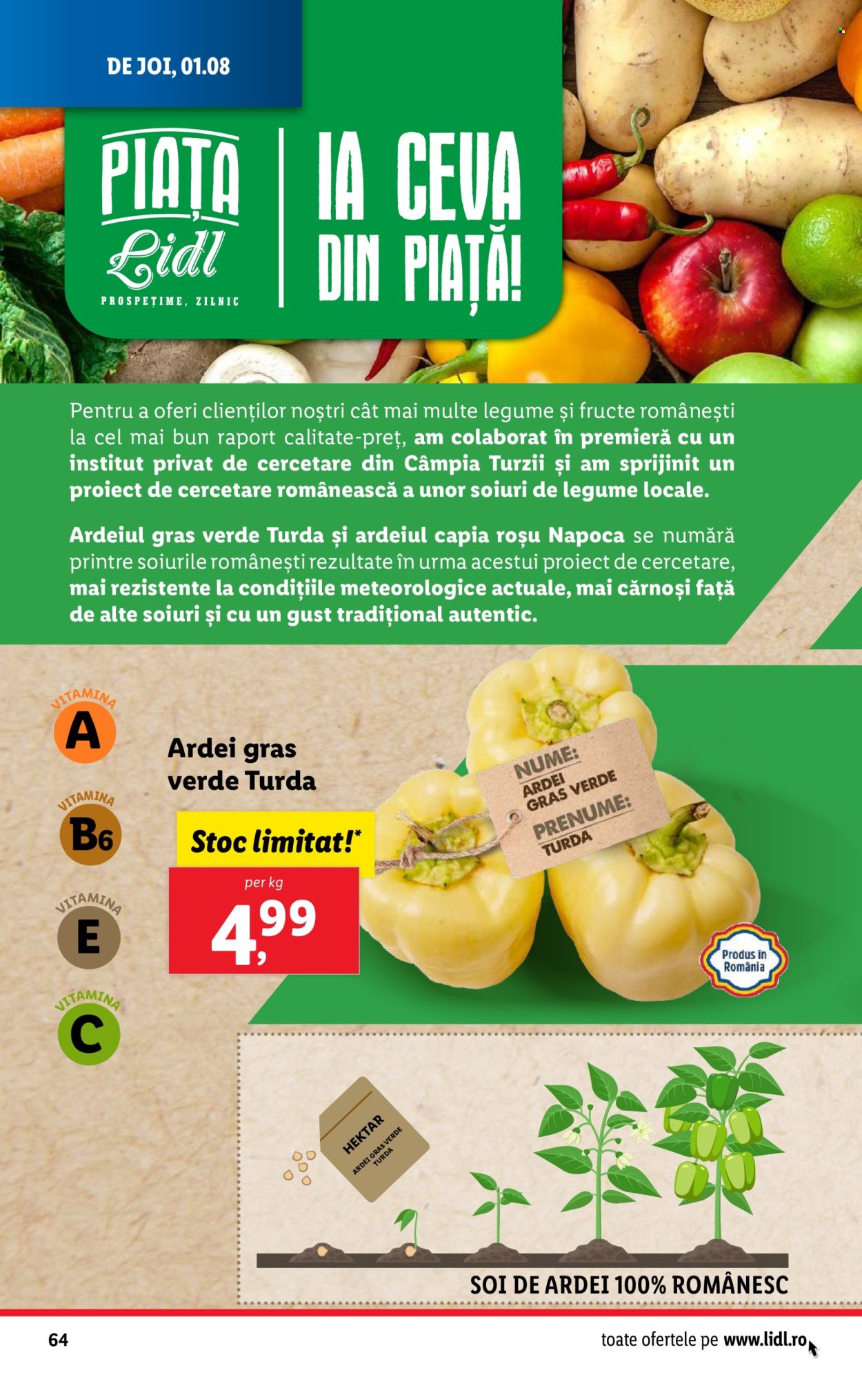 Catalog Lidl - 29.07.2024 - 04.08.2024. Pagina 64