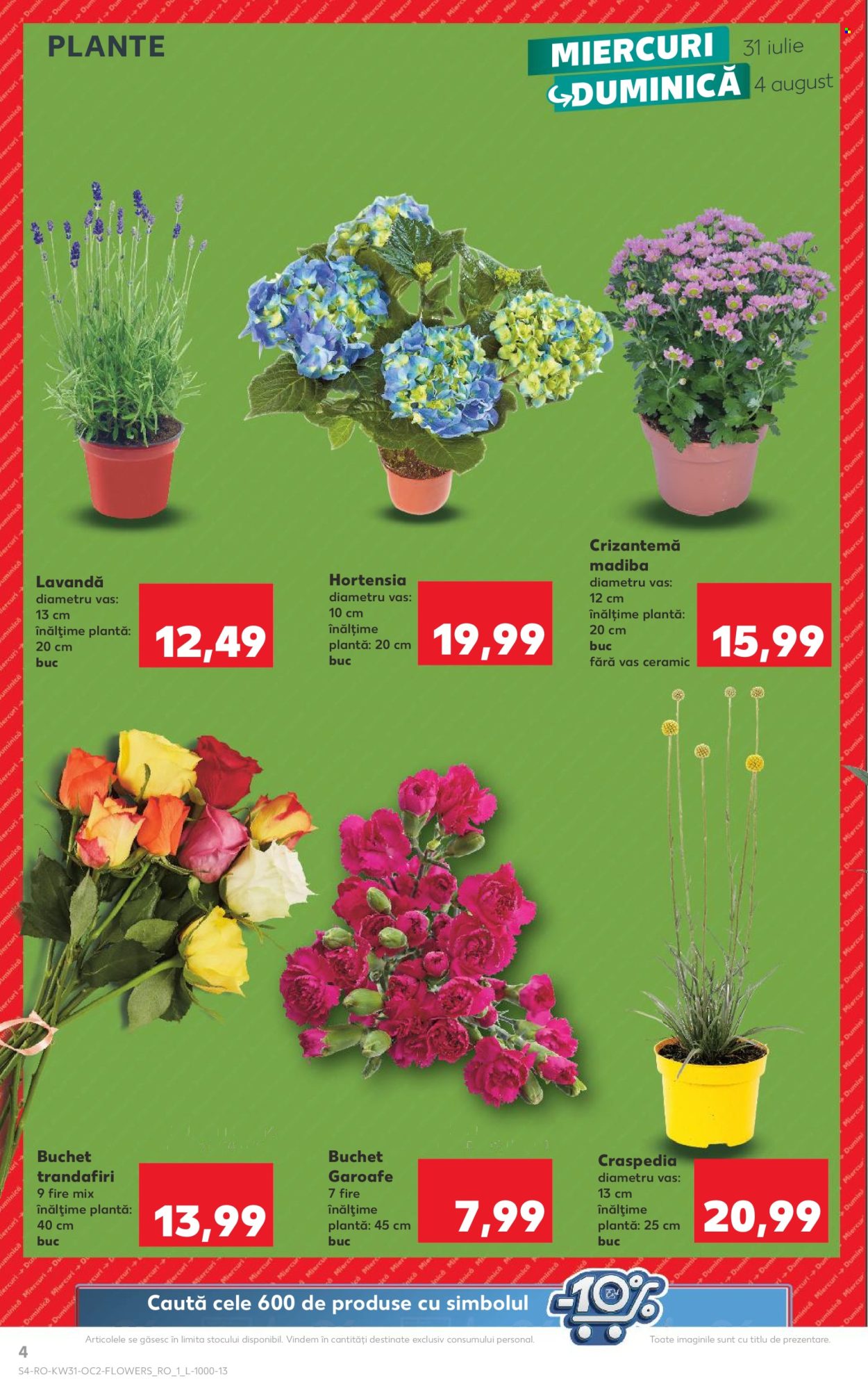 Catalog Kaufland - 31.07.2024 - 06.08.2024. Pagina 4