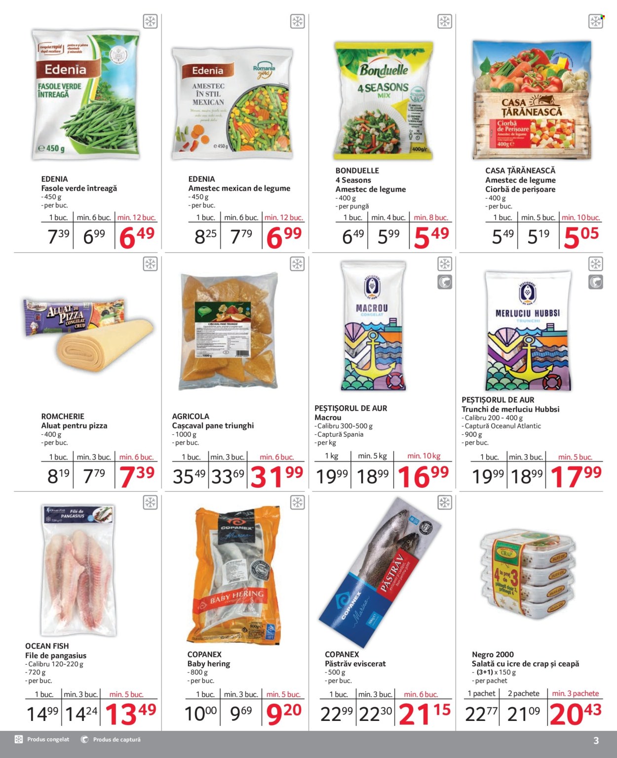Catalog Selgros - 01.08.2024 - 31.08.2024. Pagina 3