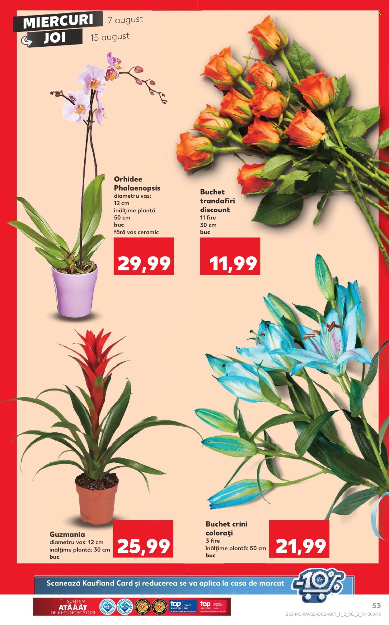 Catalog Kaufland - 07.08.2024 - 13.08.2024. Pagina 53