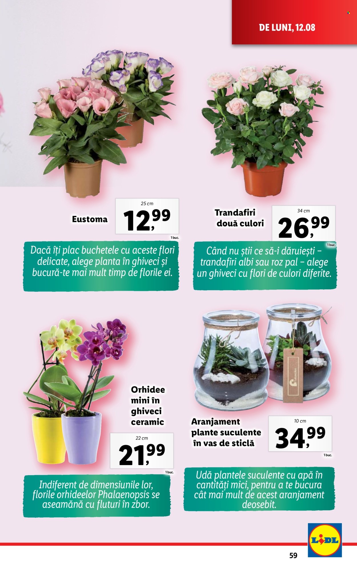 Catalog Lidl - 12.08.2024 - 18.08.2024. Pagina 59