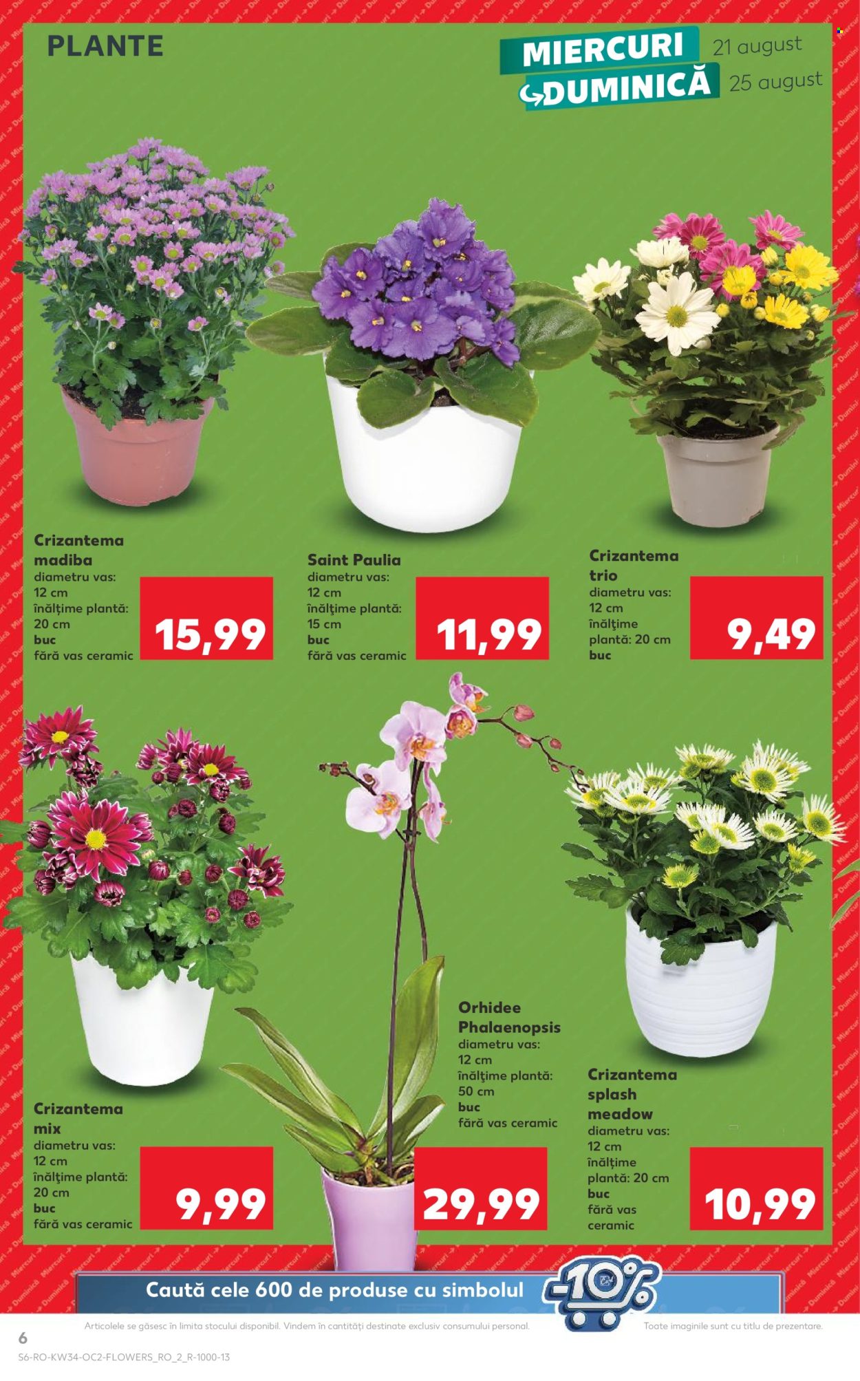 Catalog Kaufland - 21.08.2024 - 27.08.2024. Pagina 6