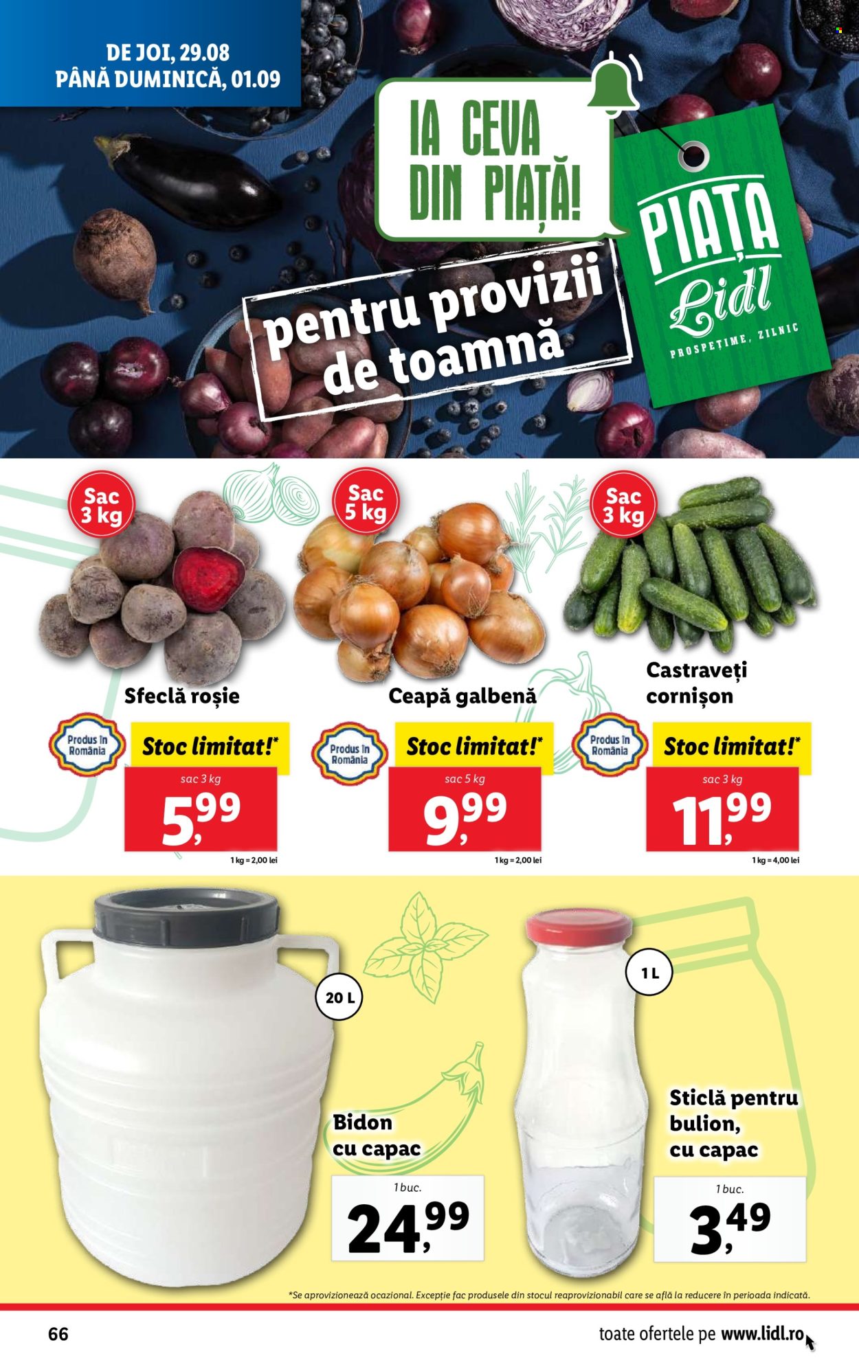 Catalog Lidl - 26.08.2024 - 01.09.2024. Pagina 66