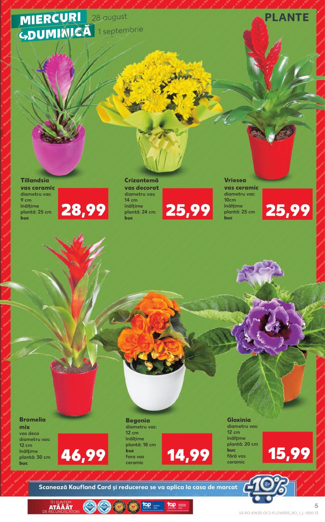 Catalog Kaufland - 28.08.2024 - 03.09.2024. Pagina 5