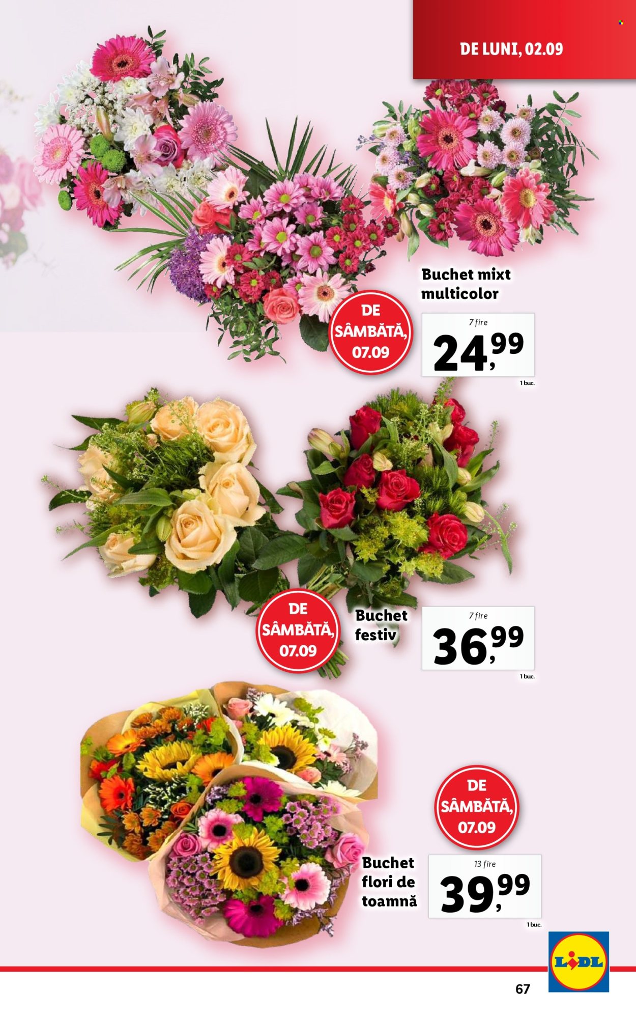 Catalog Lidl - 02.09.2024 - 08.09.2024. Pagina 67