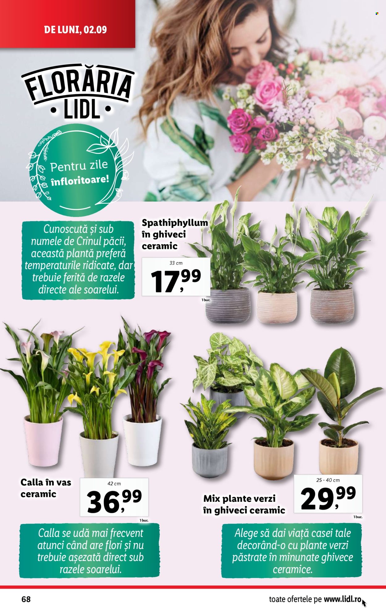 Catalog Lidl - 02.09.2024 - 08.09.2024. Pagina 68