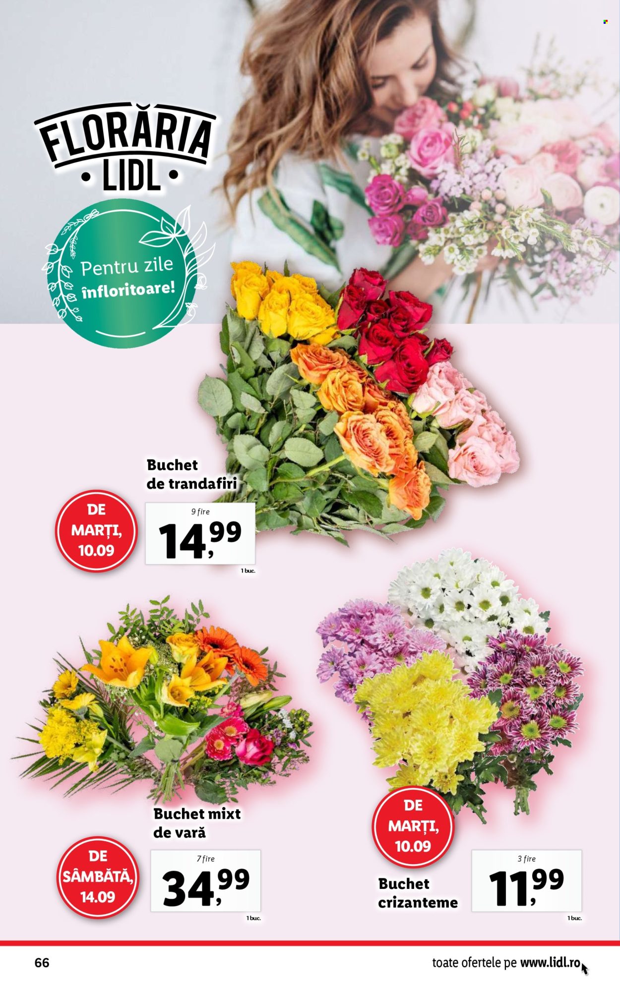 Catalog Lidl - 09.09.2024 - 15.09.2024. Pagina 66