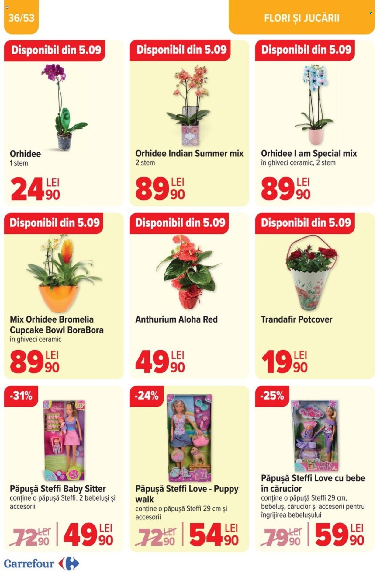 Catalog Carrefour - 04.09.2024 - 17.09.2024. Pagina 36