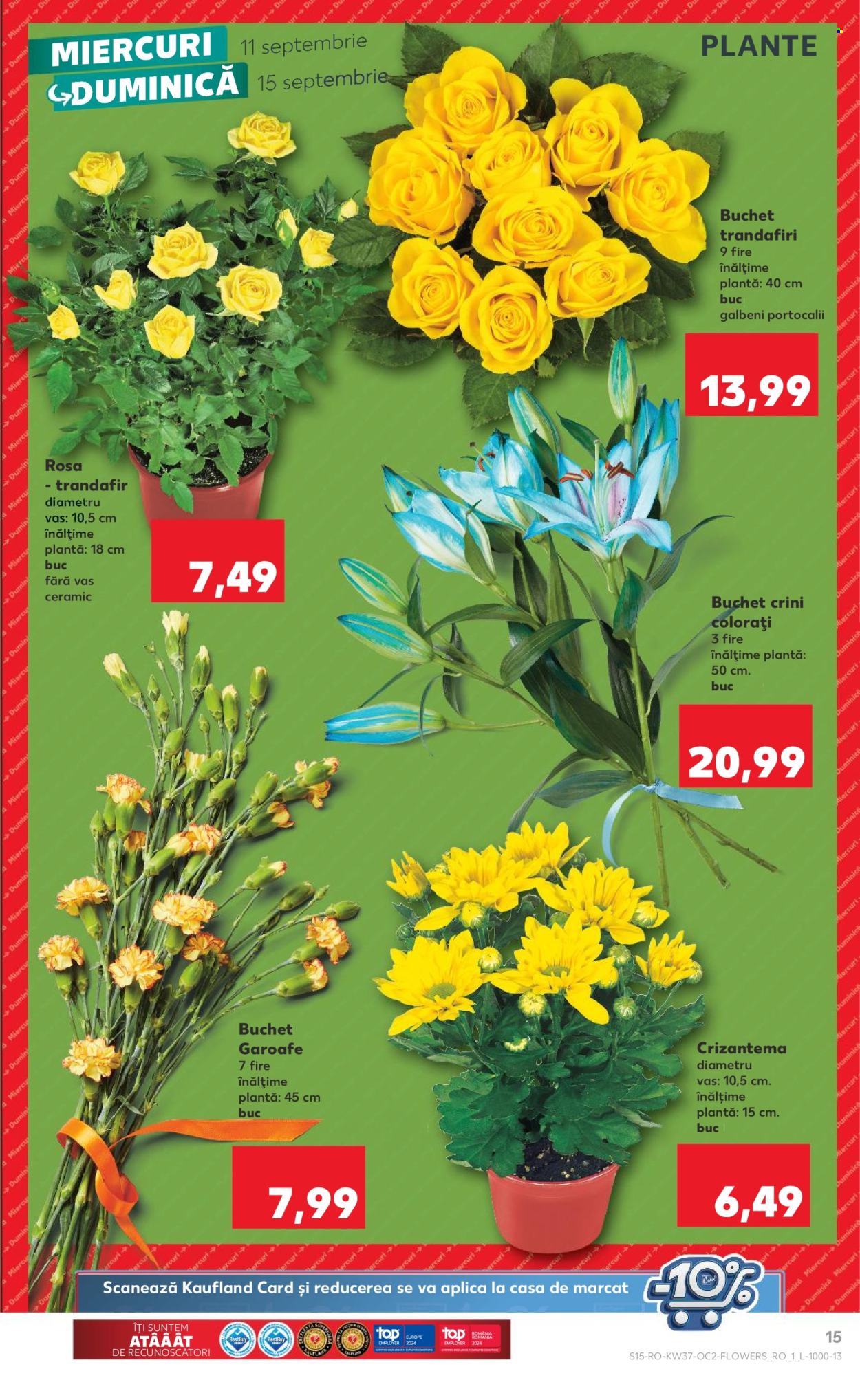 Catalog Kaufland - 11.09.2024 - 17.09.2024. Pagina 15