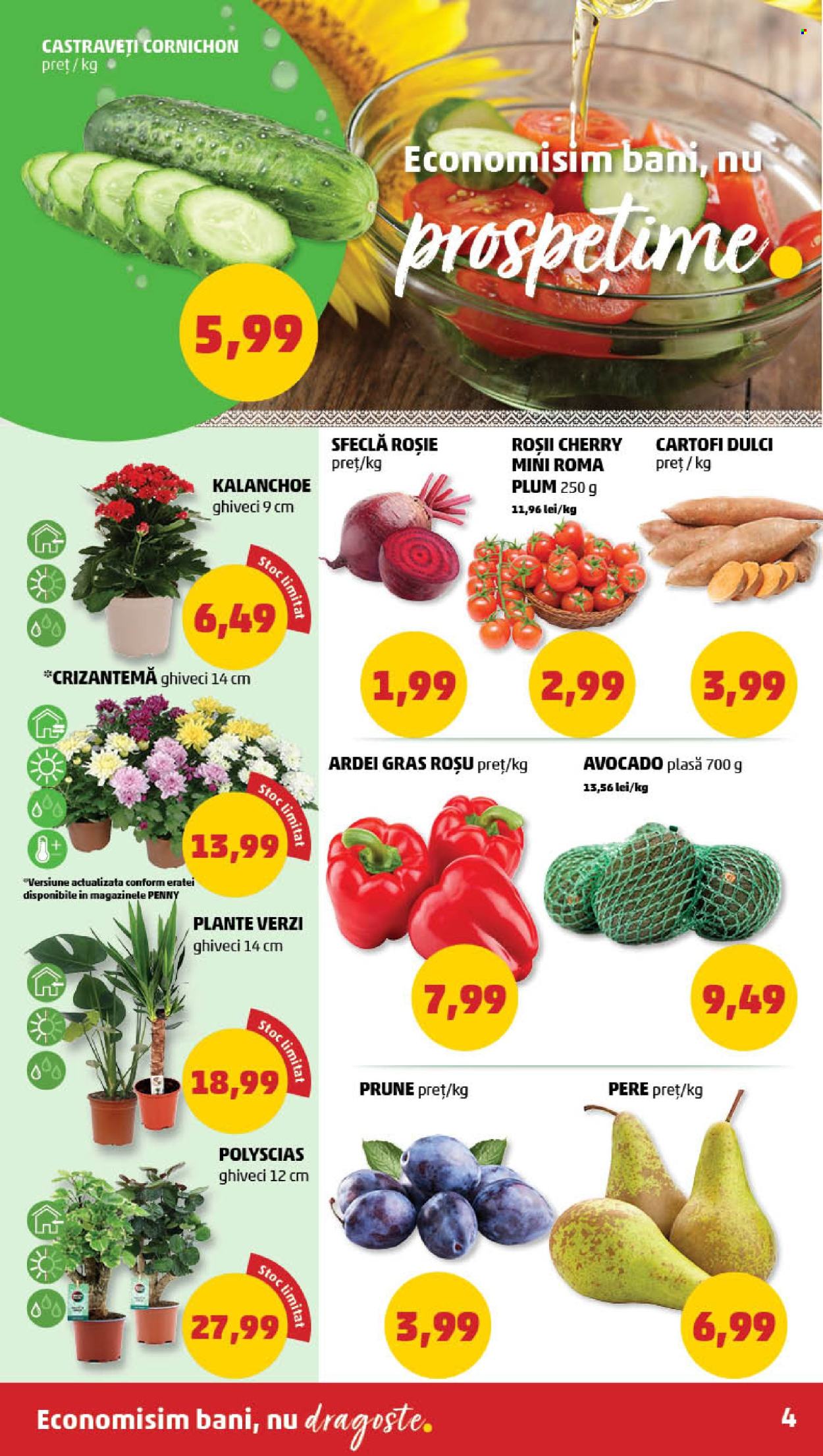 Catalog PENNY - 11.09.2024 - 17.09.2024. Pagina 4