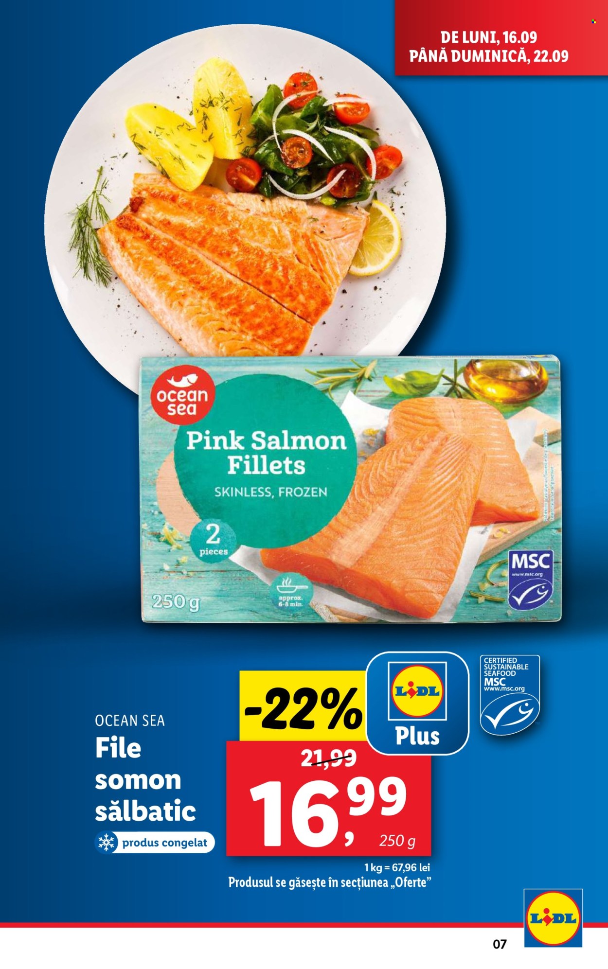 Catalog Lidl - 16.09.2024 - 22.09.2024. Pagina 7