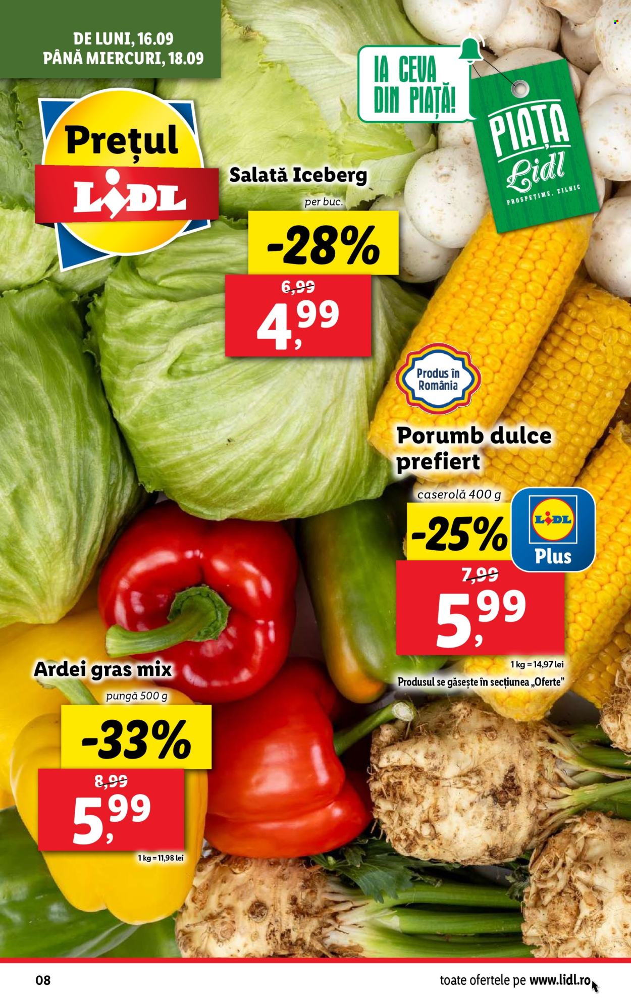 Catalog Lidl - 16.09.2024 - 22.09.2024. Pagina 8