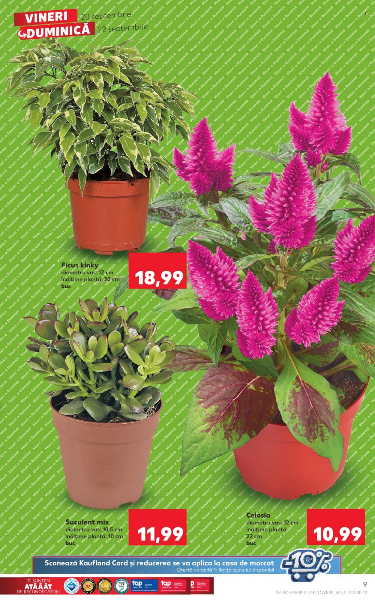 Catalog Kaufland - 20.09.2024 - 22.09.2024. Pagina 9
