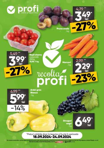 Cataloage Profi - 18.09.2024 - 24.09.2024.