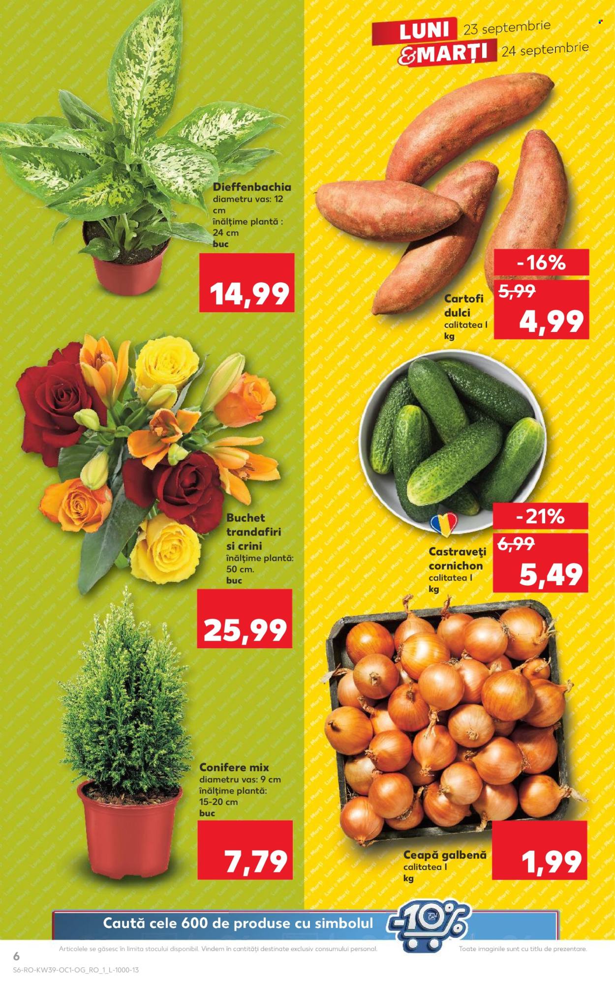 Catalog Kaufland - 23.09.2024 - 24.09.2024. Pagina 6