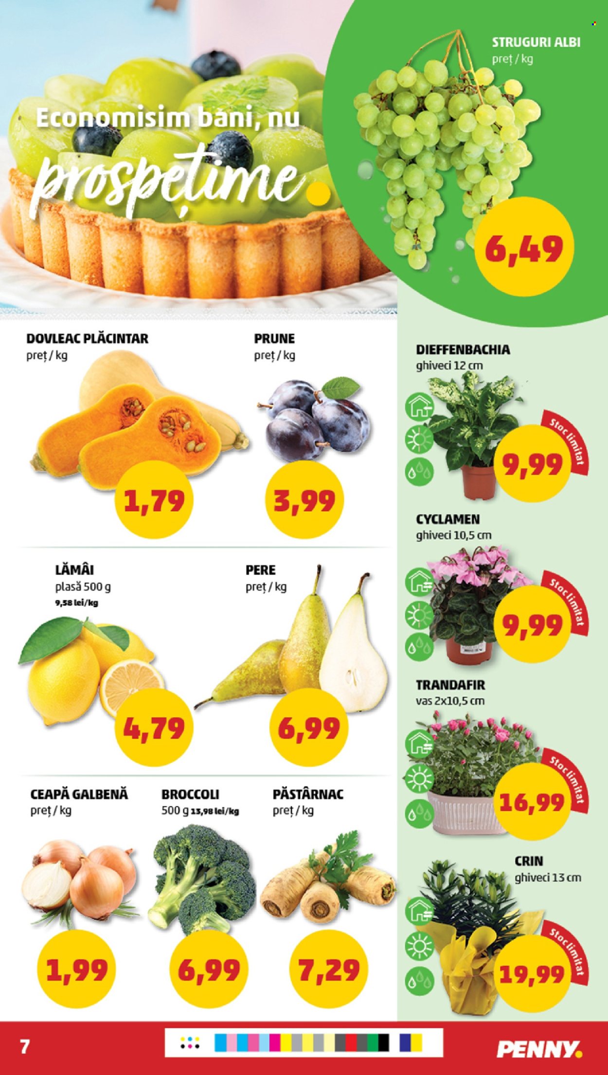 Catalog PENNY - 25.09.2024 - 01.10.2024. Pagina 7