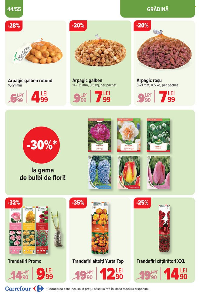 Catalog Carrefour - 25.09.2024 - 29.10.2024. Pagina 44