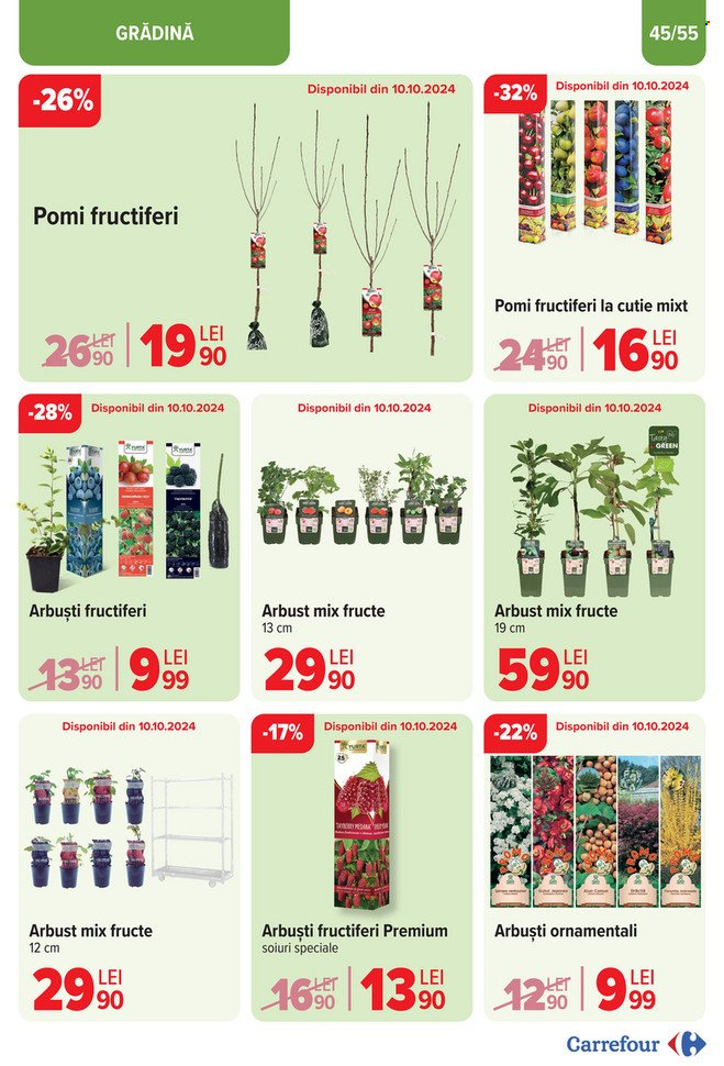 Catalog Carrefour - 25.09.2024 - 29.10.2024. Pagina 45