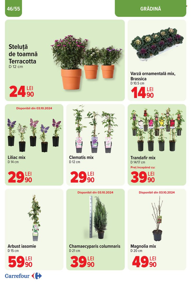 Catalog Carrefour - 25.09.2024 - 29.10.2024. Pagina 46