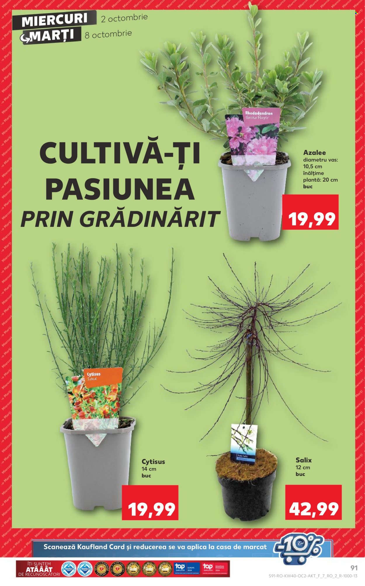Catalog Kaufland - 02.10.2024 - 08.10.2024. Pagina 91