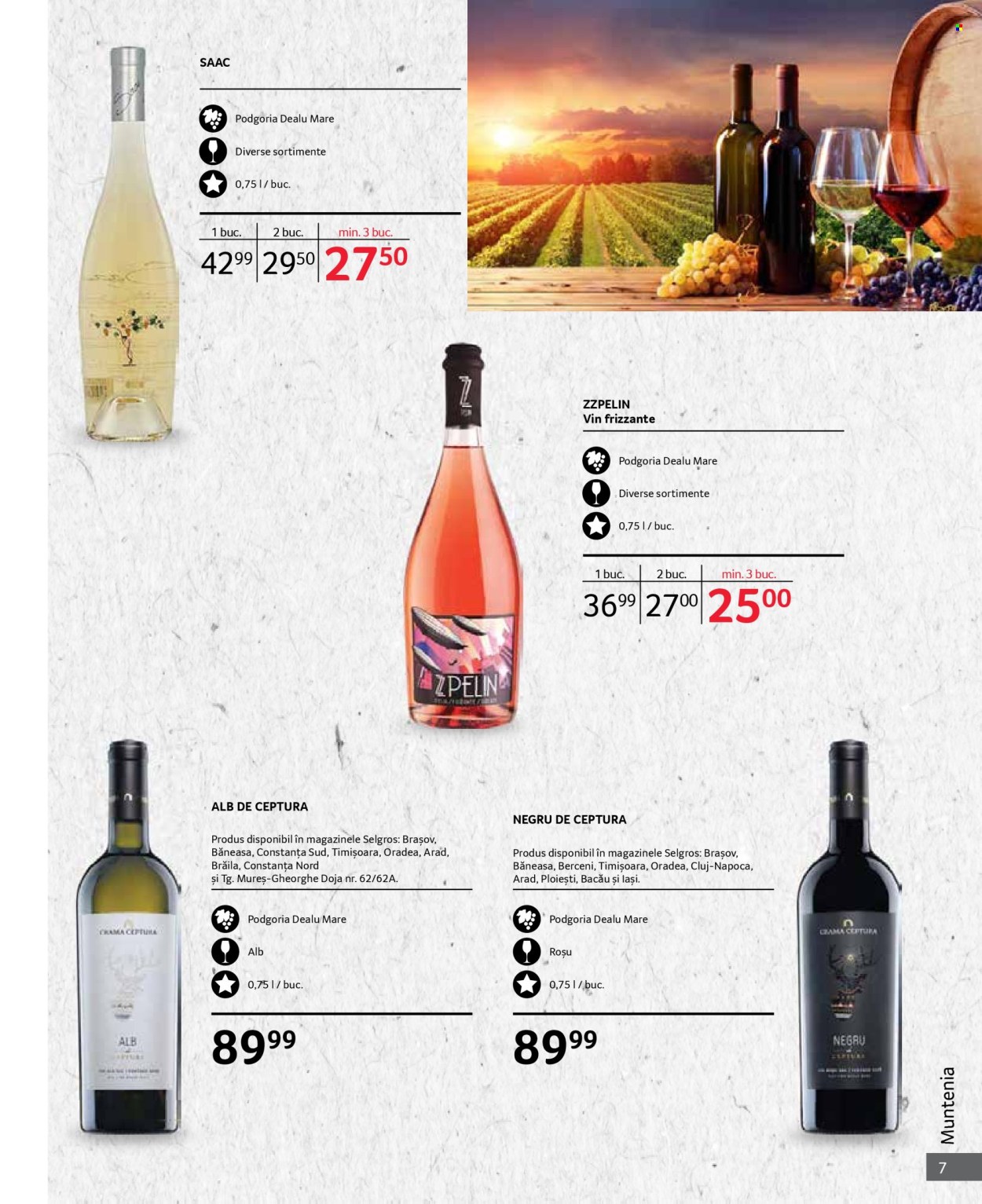 Catalog Selgros - 01.10.2024 - 31.10.2024. Pagina 7