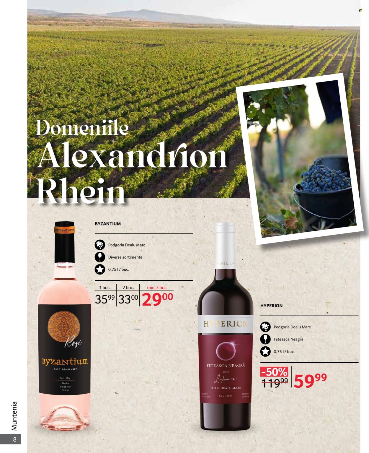 Catalog Selgros - 01.10.2024 - 31.10.2024. Pagina 8