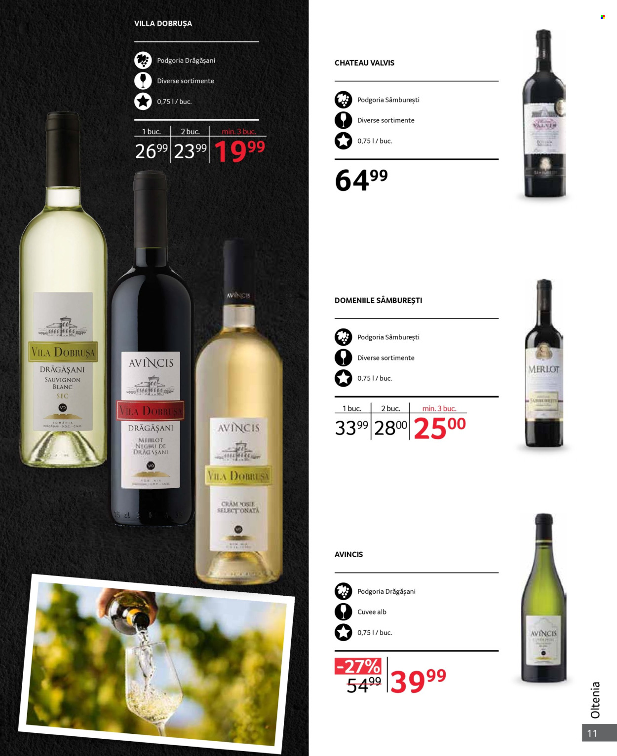 Catalog Selgros - 01.10.2024 - 31.10.2024. Pagina 11