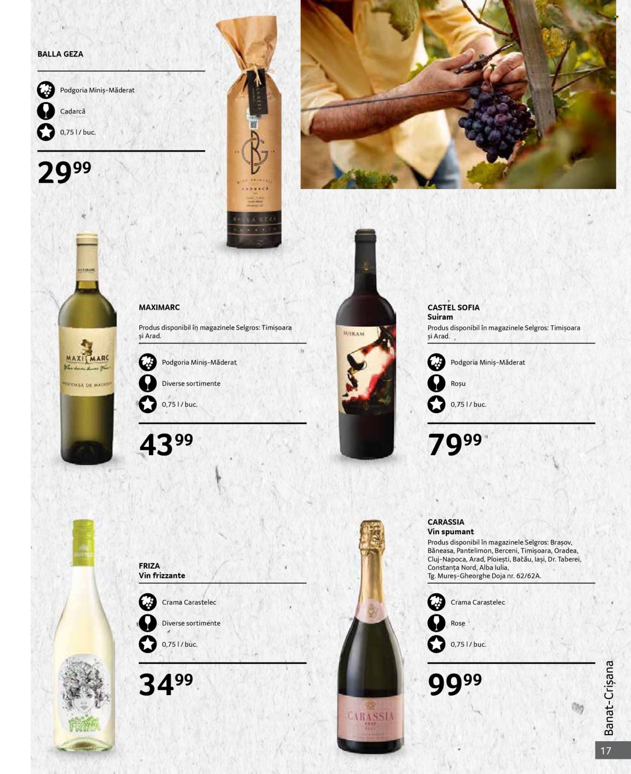 Catalog Selgros - 01.10.2024 - 31.10.2024. Pagina 17
