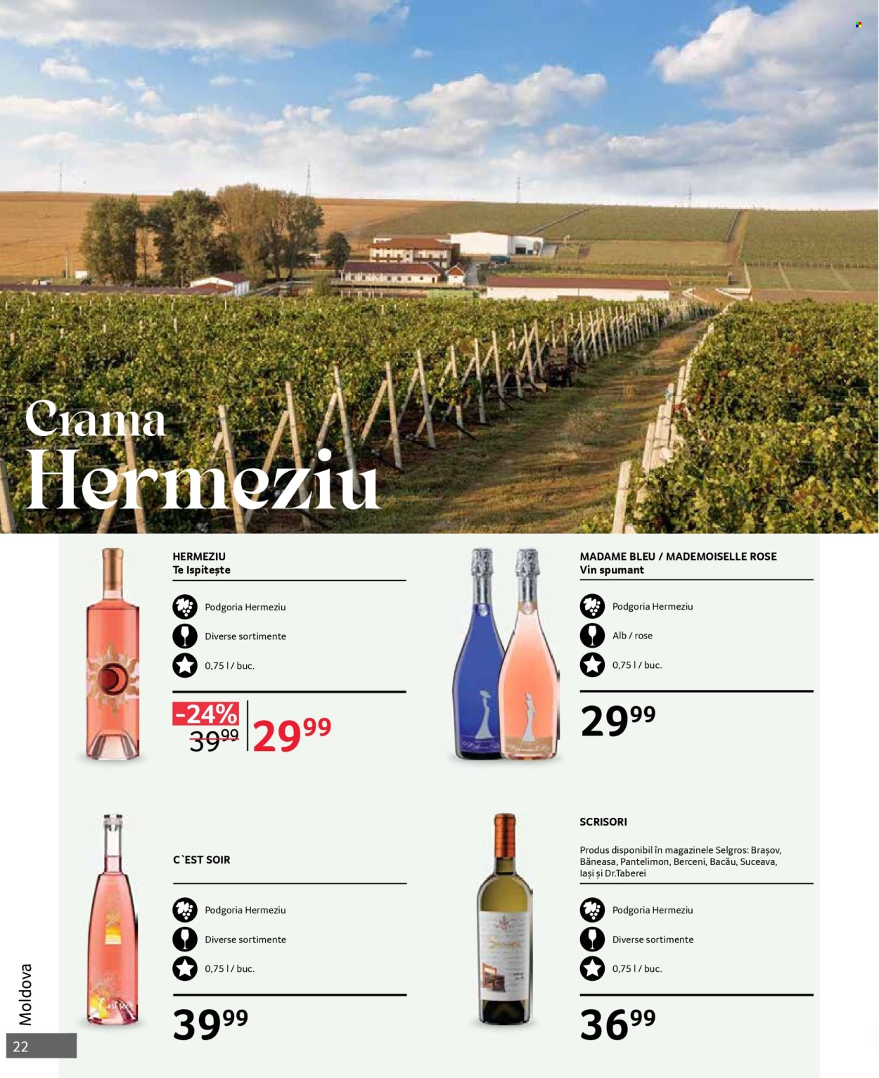 Catalog Selgros - 01.10.2024 - 31.10.2024. Pagina 22