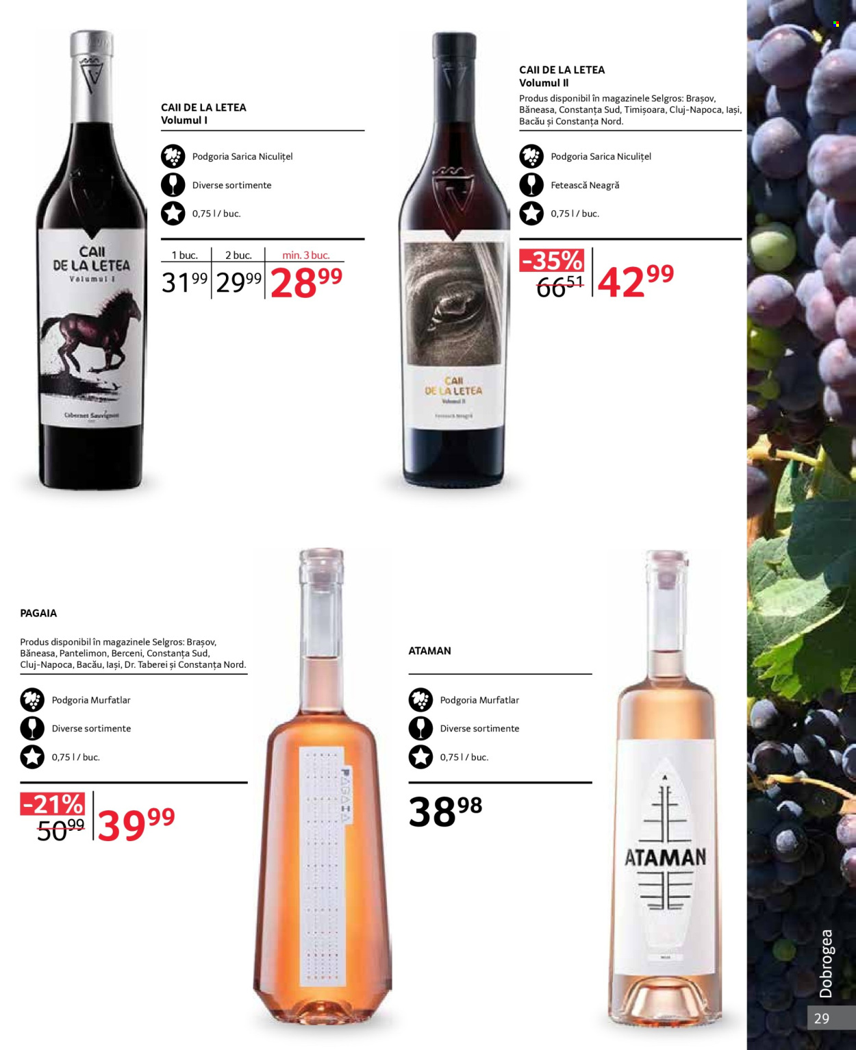 Catalog Selgros - 01.10.2024 - 31.10.2024. Pagina 29