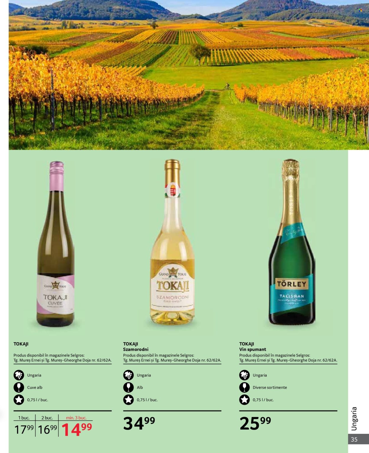 Catalog Selgros - 01.10.2024 - 31.10.2024. Pagina 35