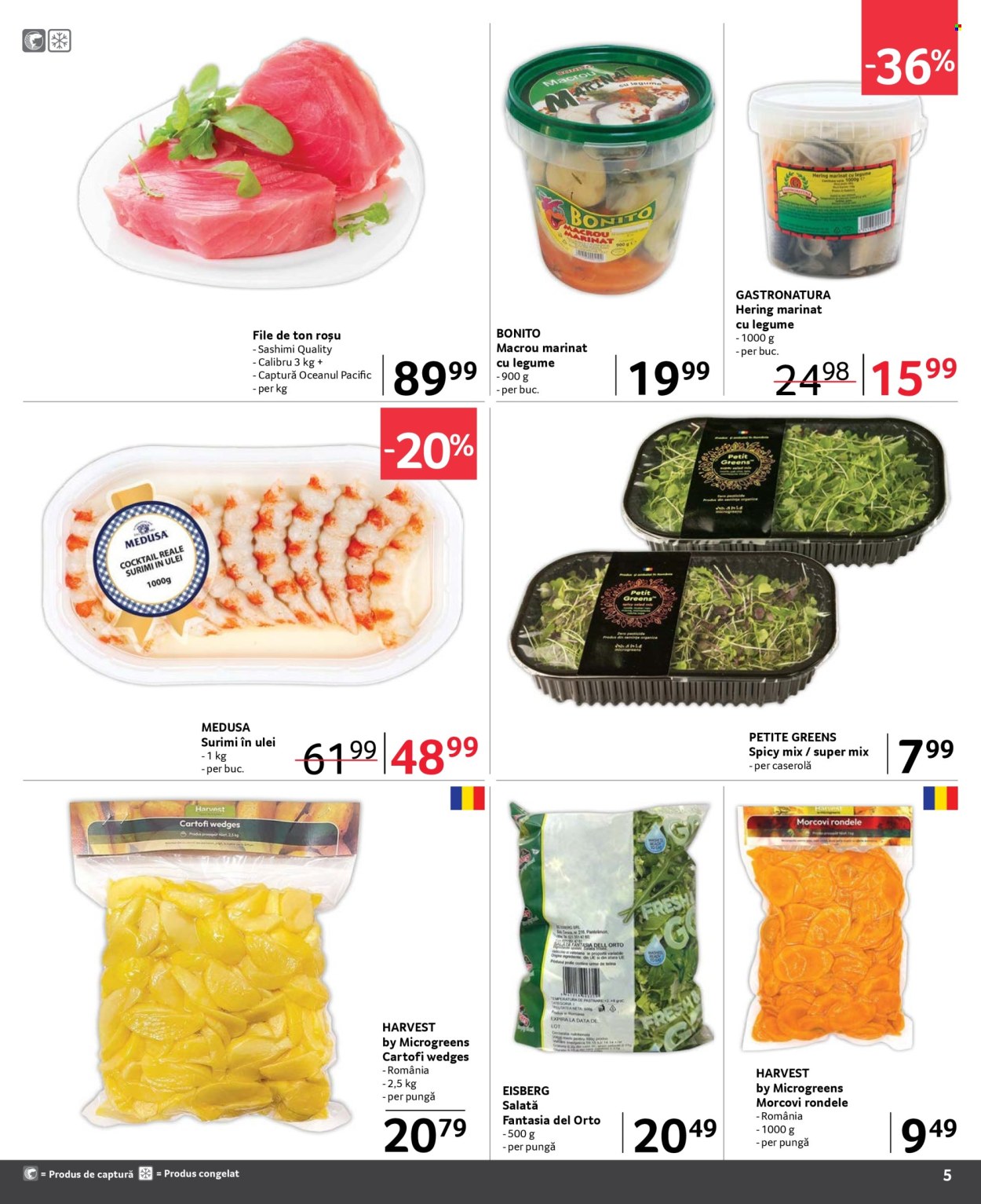 Catalog Selgros - 01.10.2024 - 31.10.2024. Pagina 5