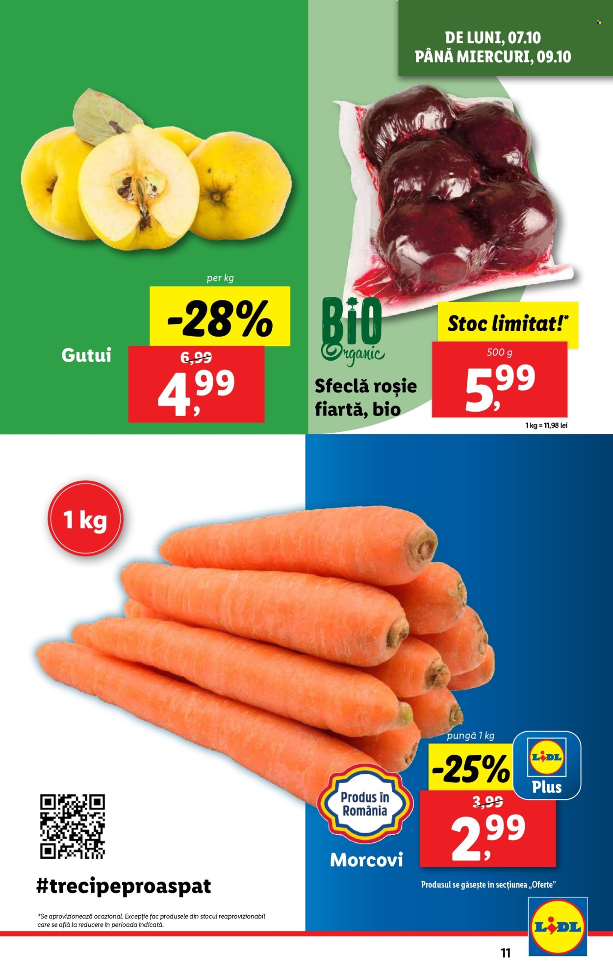 Catalog Lidl - 07.10.2024 - 13.10.2024. Pagina 11