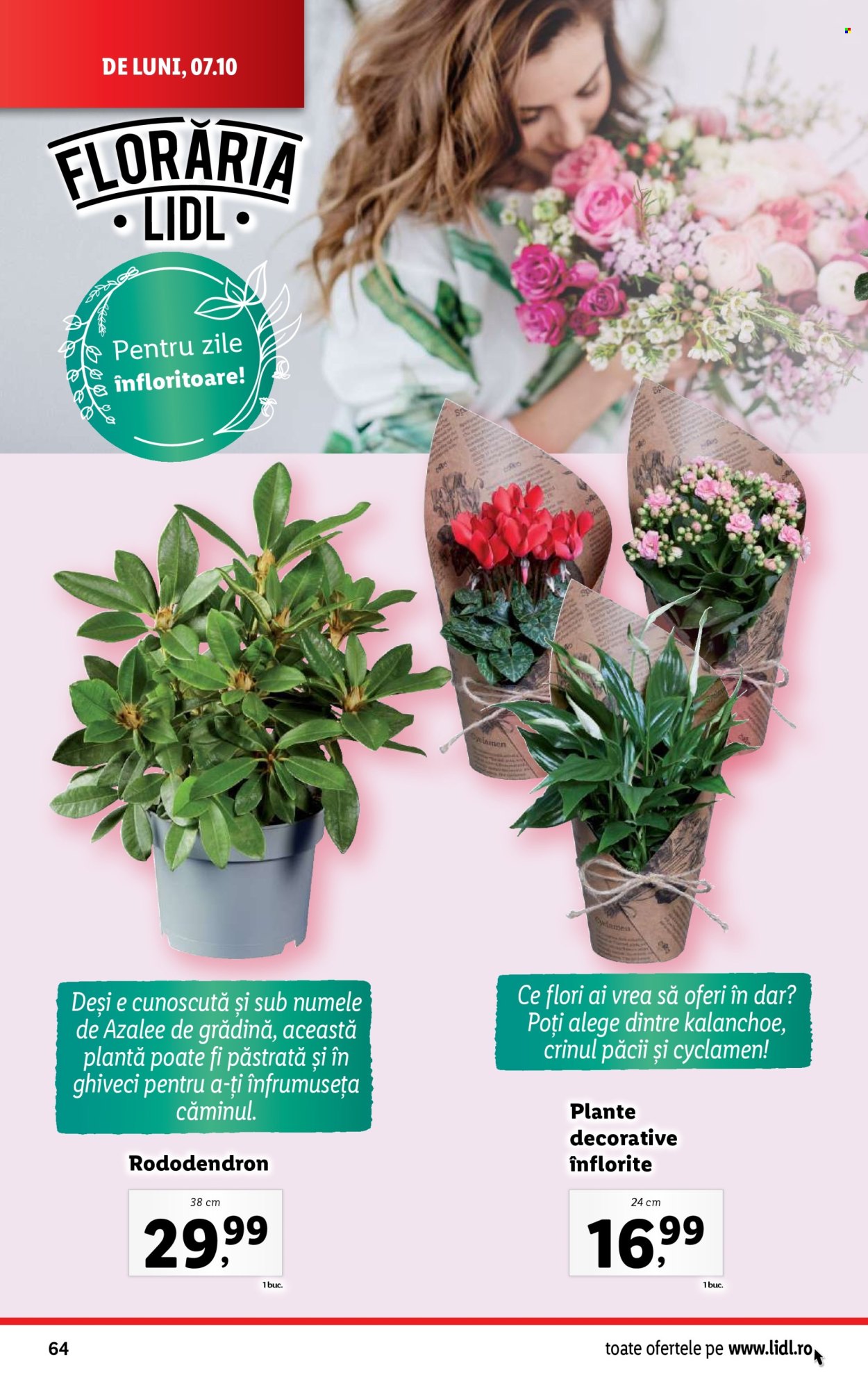Catalog Lidl - 07.10.2024 - 13.10.2024. Pagina 64