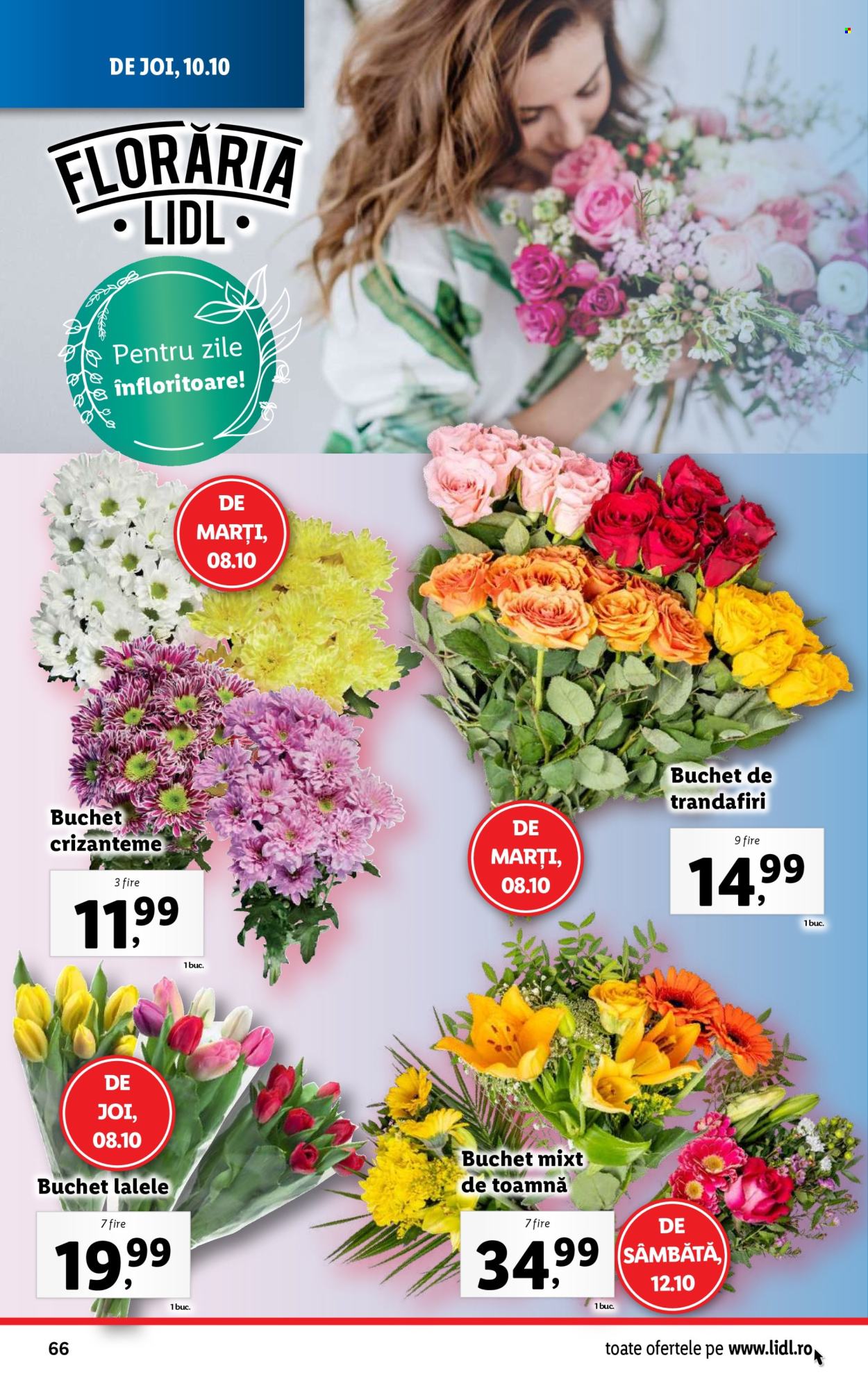 Catalog Lidl - 07.10.2024 - 13.10.2024. Pagina 66