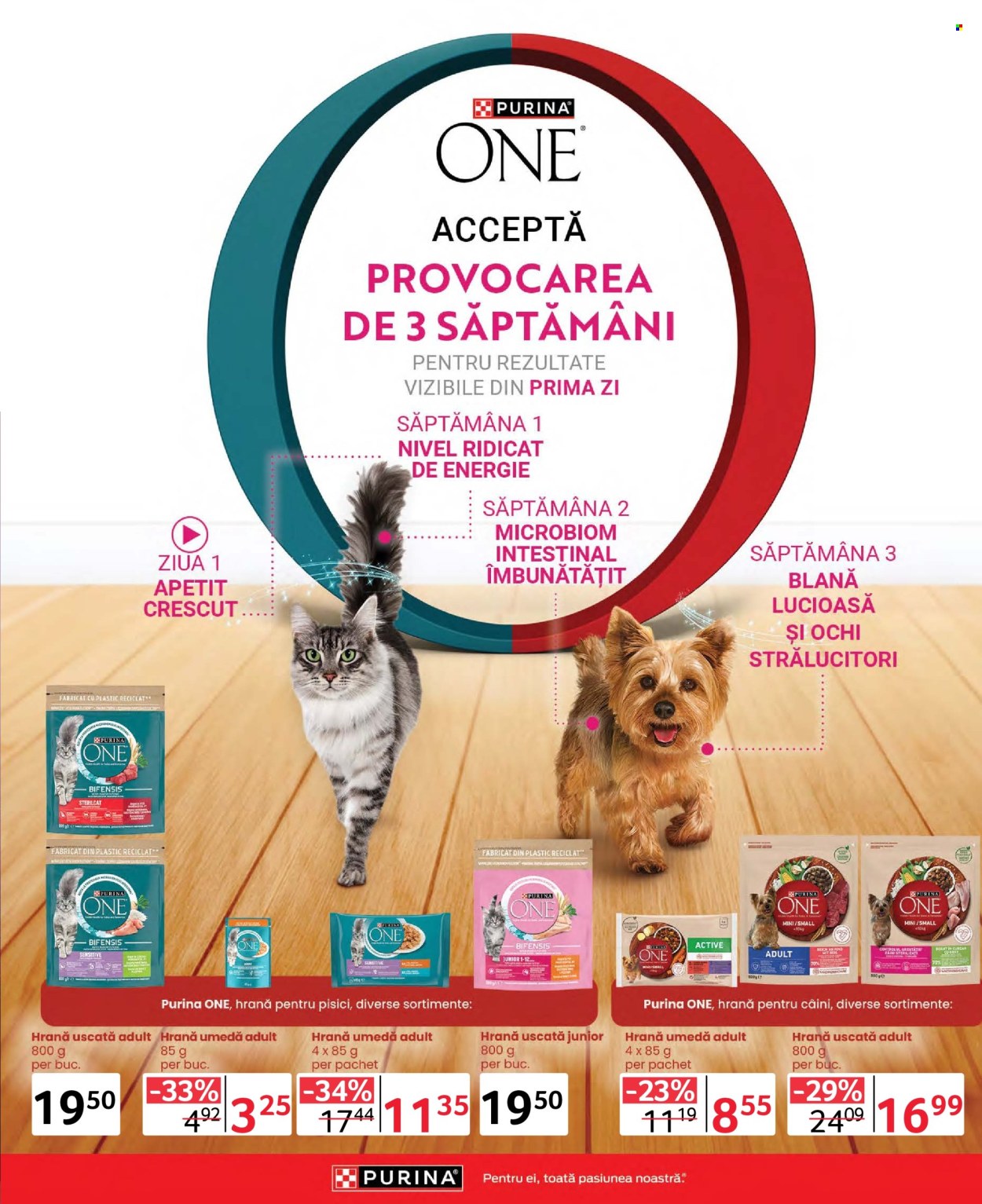 Catalog Selgros - 04.10.2024 - 17.10.2024. Pagina 29
