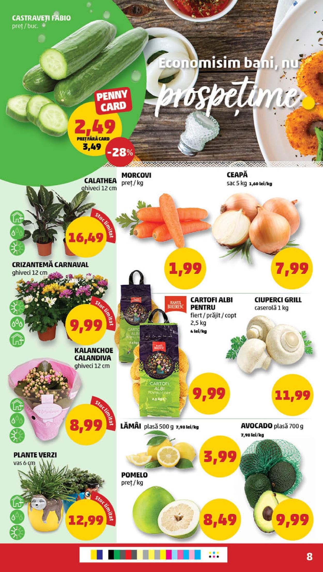 Catalog PENNY - 09.10.2024 - 15.10.2024. Pagina 8